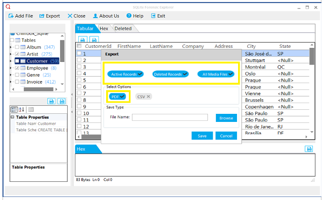 SQLite Forensic Explorer