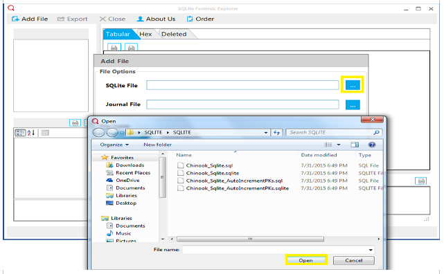 SQLite Forensic Explorer