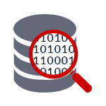database forensics services