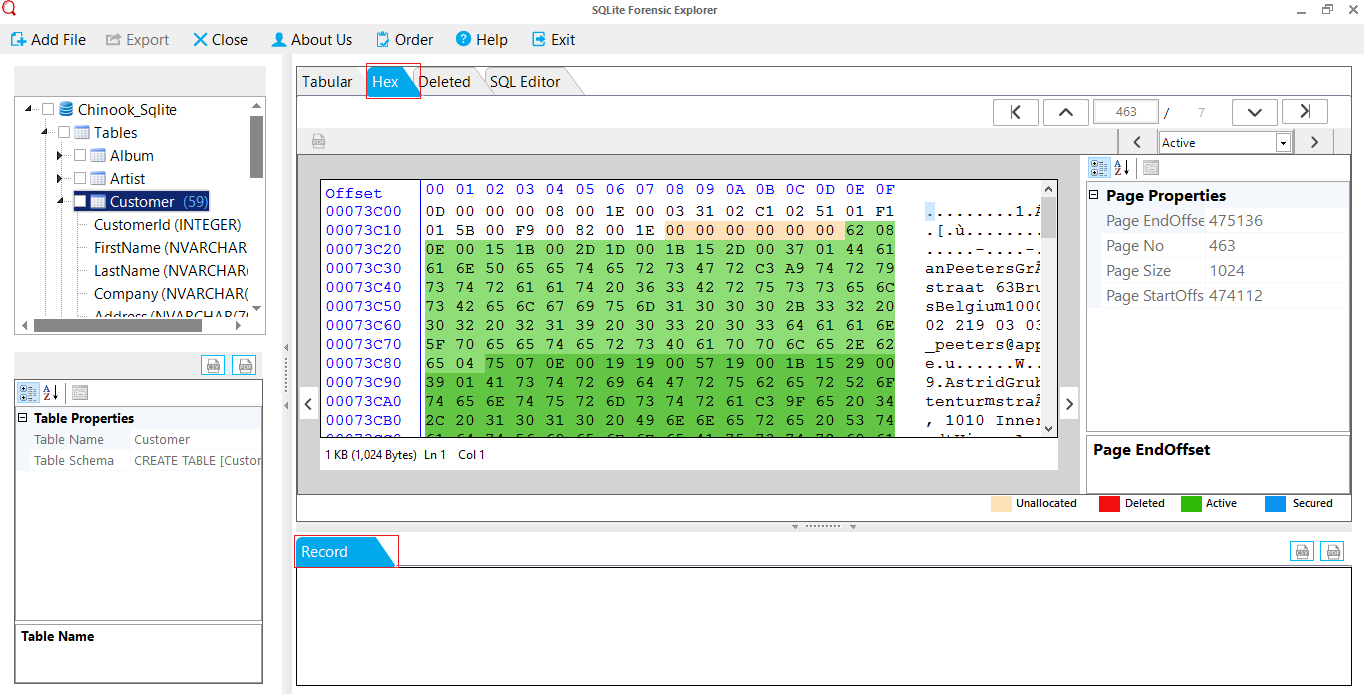 Binary Format