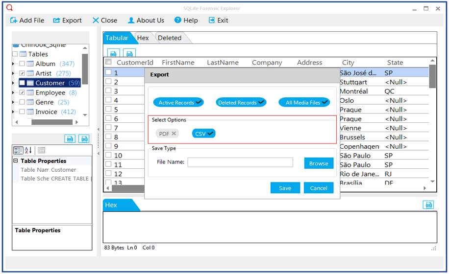 CSV File